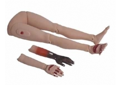 YL/G110-4 高级创伤四肢模型