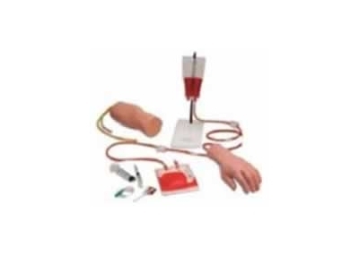 SYL/S42 手部、肘部组合式静脉输液（血）训练模型
