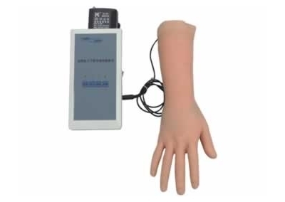 SYL/S5 高级电子手臂静脉穿刺训练模型
