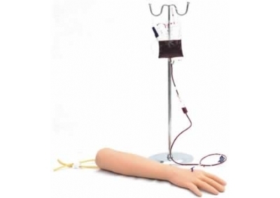 SYL/S1 高级手臂静脉穿刺训练模型