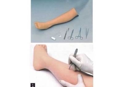 SYL/FT 高级外科缝合腿模型