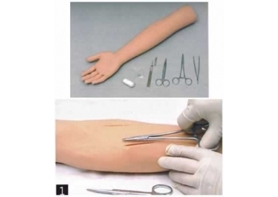 SYL/FS 高级外科缝合手臂模型