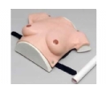 SYL/14B 高级着装式乳房自检模型
