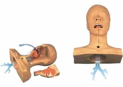 SYL/12 高级吸痰训练模型