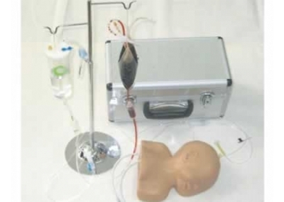 SYL/T2 高级婴儿头部静脉穿刺训练教学模型