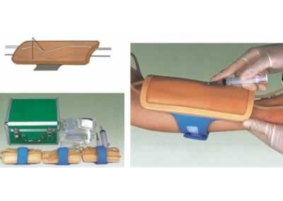 SYL/S16 高级前臂静脉穿刺模型
