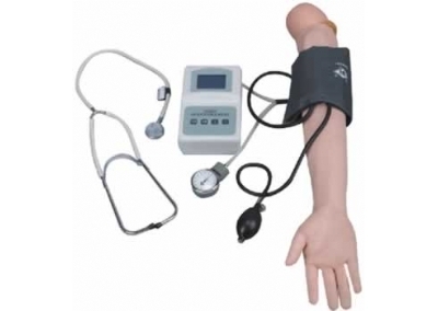 SYL/S7 高级手臂血压测量训练模型
