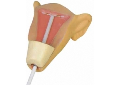 SYL/B3-Ⅲ 高级宫内避孕器训练模型