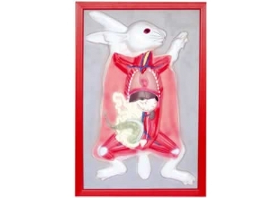 SYL/2079-23家兔解剖浮雕模型