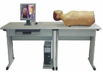 SYL/F-1 智能化腹部检查教学系统（网络版）（学生实验机）