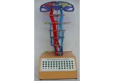 SYL/18217 中枢神经传导电动模型