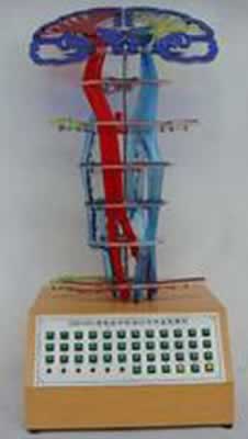 中枢神经传导电动模型