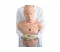 SYL/CPR155 高级成人气道梗塞和心肺复苏模型