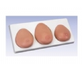 SYL/RF-1 高级乳房检查模型（一套三部件）