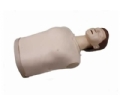 SYL/CPR190 半身心肺复苏训练模拟人（简易型）