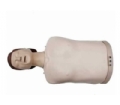 SYL/CPR195 高级电子半身心肺复苏训练模拟人