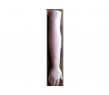 SHYL/506 针灸训练手臂模型