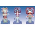 SYL/50011 透明脑干内部结构及传导模型